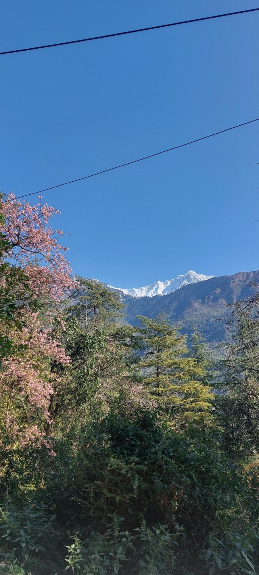 Mountain Heaven Mcleodganj Hotel Dharamshala Buitenkant foto